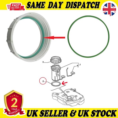 Fuel pump ring - pump, seal