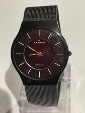 SKAGEN Titanium 233LTMB