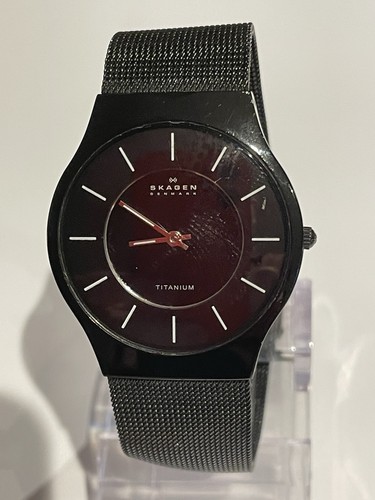 Skagen titanium 233ltmb - titanium,