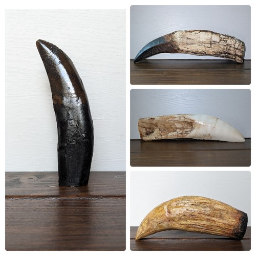 Dinosaur tooth replica - dinosaur,