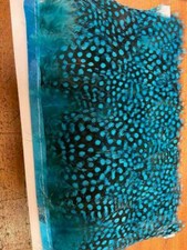 Gordon Griffiths Blue Super Selected Guinea Fowl Feathers Approx 100 (GFF)