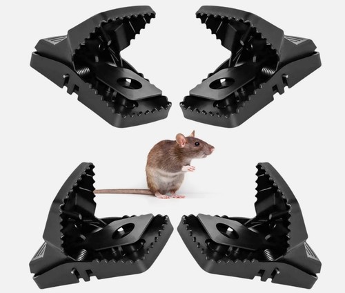 6pack rat traps that kill - rat,