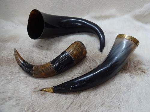 Large viking drinking horns - viking,