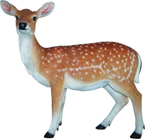 Vivid arts xrl - xrl-deer-b, size