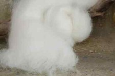 NEEDLE WET FELTING NATURAL