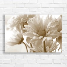 Soft Tone Daisy Flower Bouquet