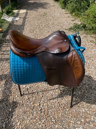 Jeffries falcon english - jeffries,