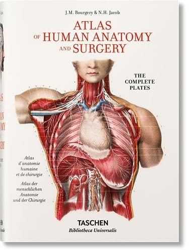 Bourgery atlas human - atlas, of