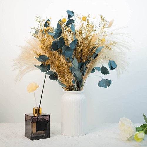 26pc dried pampas - pampas, grass