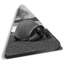 Triangle MDF Magnets - BW -