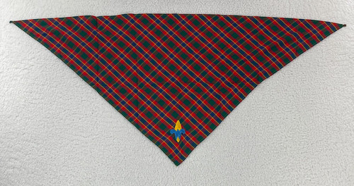 Boy scouts america webelos - boy, of