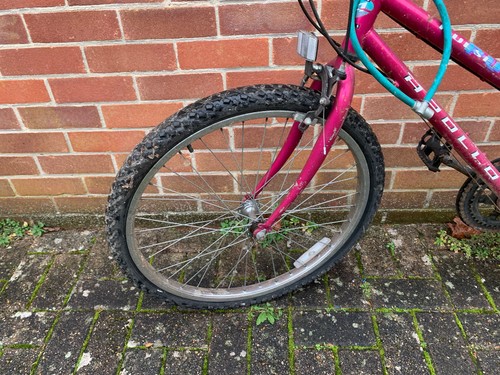Apollo ladies mountain bike - ladies,
