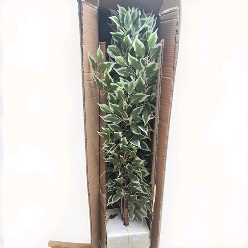 Artificial ficus tree - artificial,