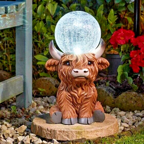 Adorable highland cow - highland,