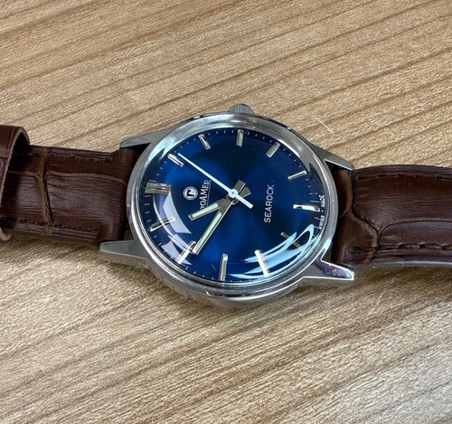Swiss roamer men - swiss, searock