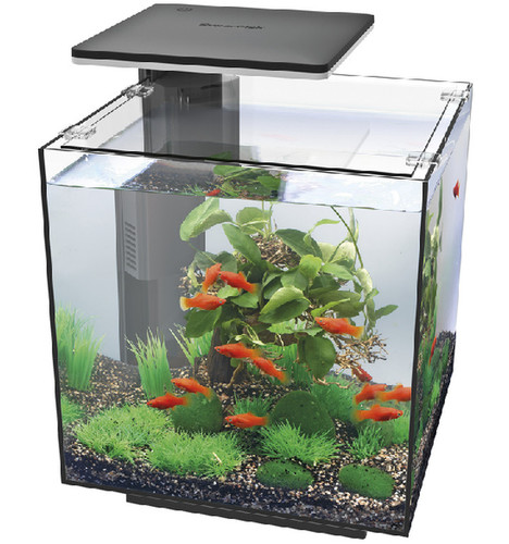 Superfish qubiq led - superfish, 30