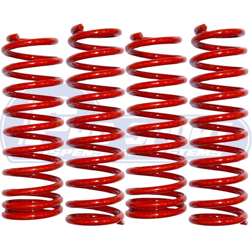 Pro sport lowering springs - pro,