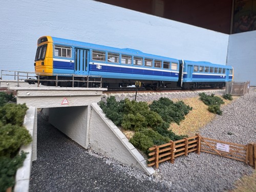 Dapol 142 005d class - class,