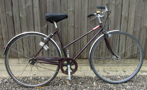 Dawes diploma ladies vintage - ladies,