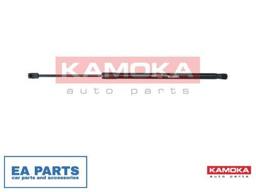 Gas spring boot cargo - gas, area