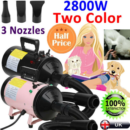 2800w dog cat pet dryer - dog,