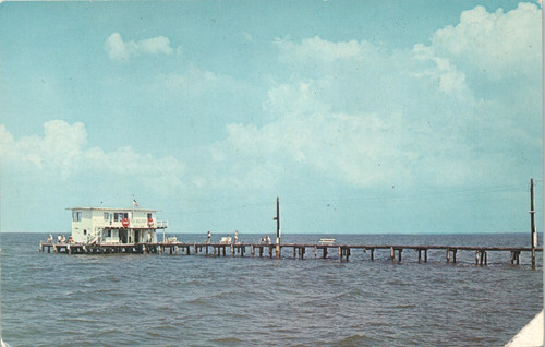 Anna maria manatee - maria,
