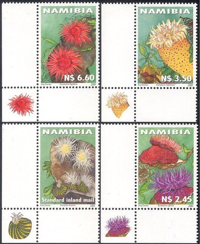 Namibia 2001 sea - 2001,