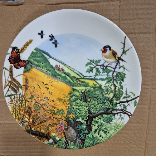 Wedgwood limited edition - wedgwood,
