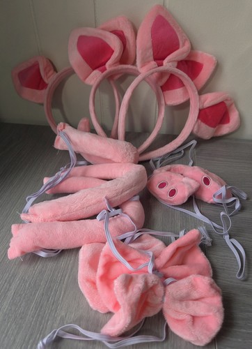Pink pig costume set - pig,