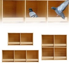 Parakeet  Wooden Pigeon es