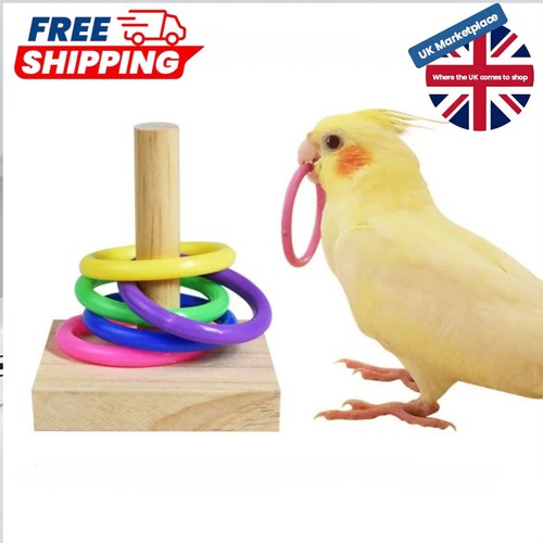 Wooden interactive parrot ring - wooden,