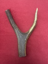 ONE PIECE OF DEER ANTLER, Y