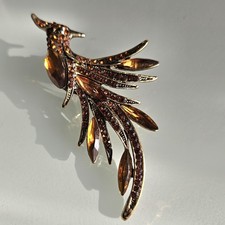 Beautiful Bird Of Paradise