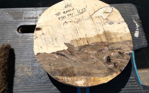 Spalted beech bowl blank wood - blank,