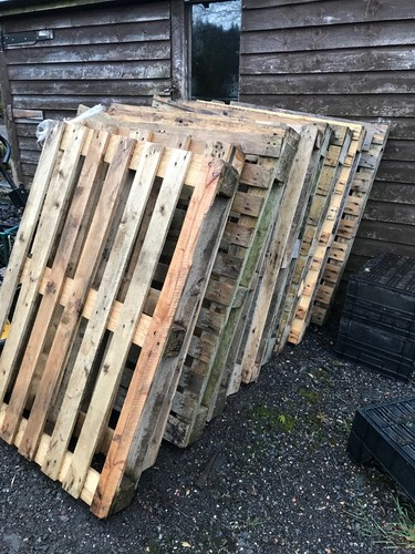 Used wooden pallets good - wooden, pallets,