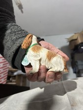 Country Artists Best In Show