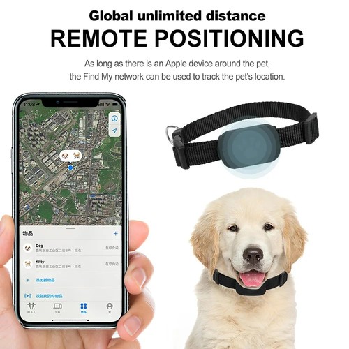 Pet cat dog - dog, gps