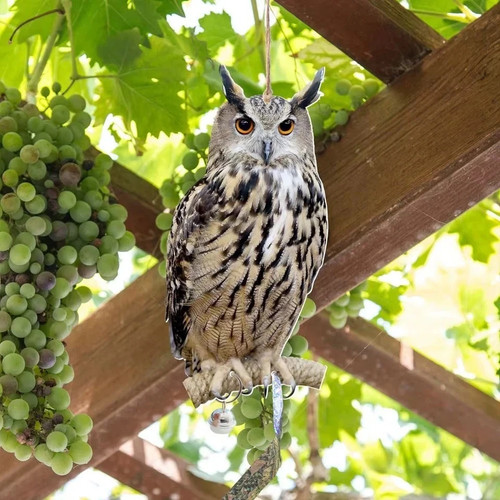 Owl decoy bird - owl,