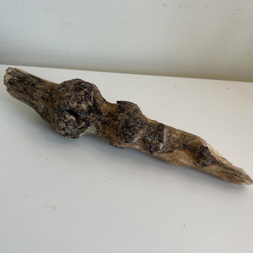 Gnarly driftwood piece - 1,