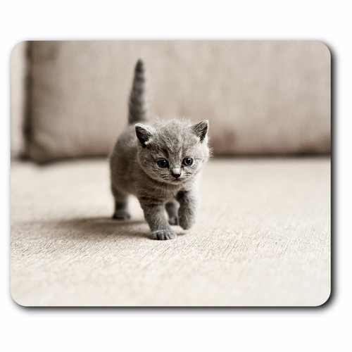 Computer mouse mat british - mat,