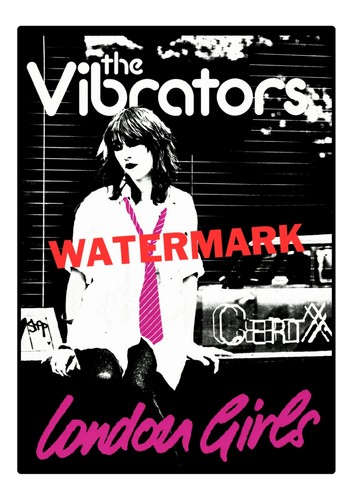 The vibrators poster - poster, print