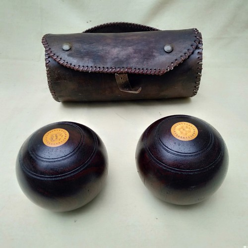 Lignum vitae crown green - vitae,