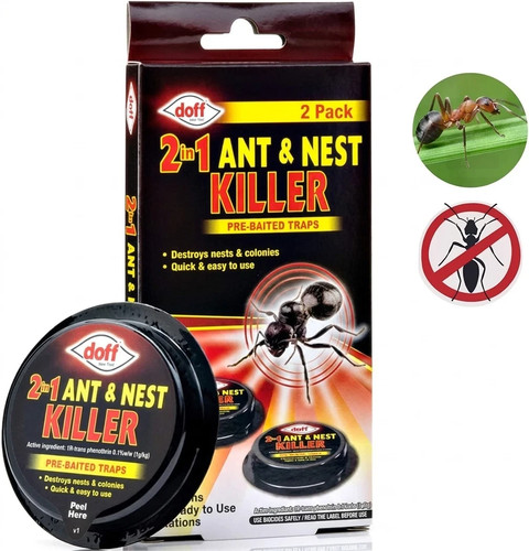 Doff ant nest - 1, ant-nest