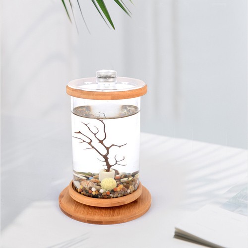 360 rotate transparent - 360°, eco