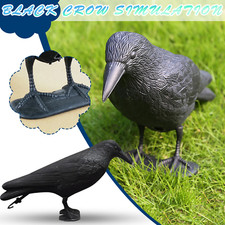 Decoy Crow Bird Raven Scare Pigeon Pest Repellent Life-Size Pigeon Deterrent UK