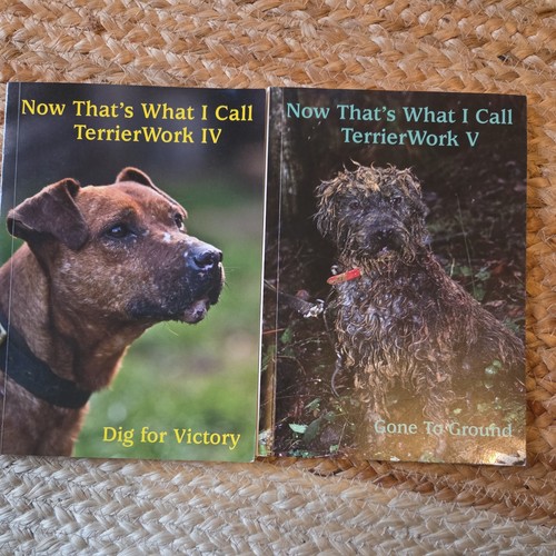 Now that what call terrier - what,