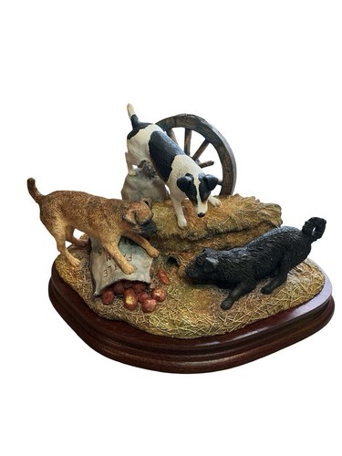 Border fine arts terriers - arts, "terriers