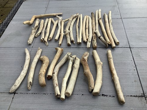 Driftwood sticks for - 30,