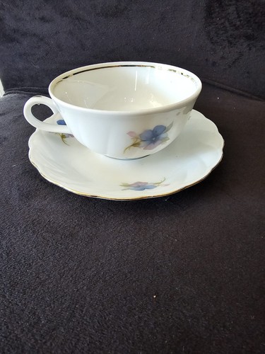 Vintage winterling rostau - vintage,