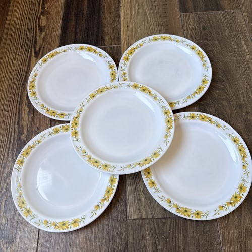 Set pyrex dinner plates - dinner,